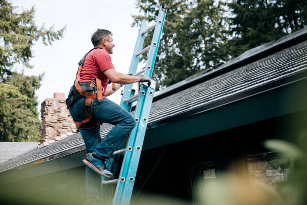 Best Roof Moss and Algae Removal  in Gordon, NE